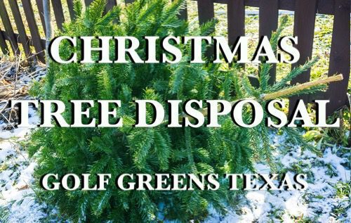 Christmas Tree Disposal, Christmas Tree Disposal